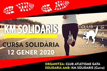 Kedi Dayanışma Yarışı